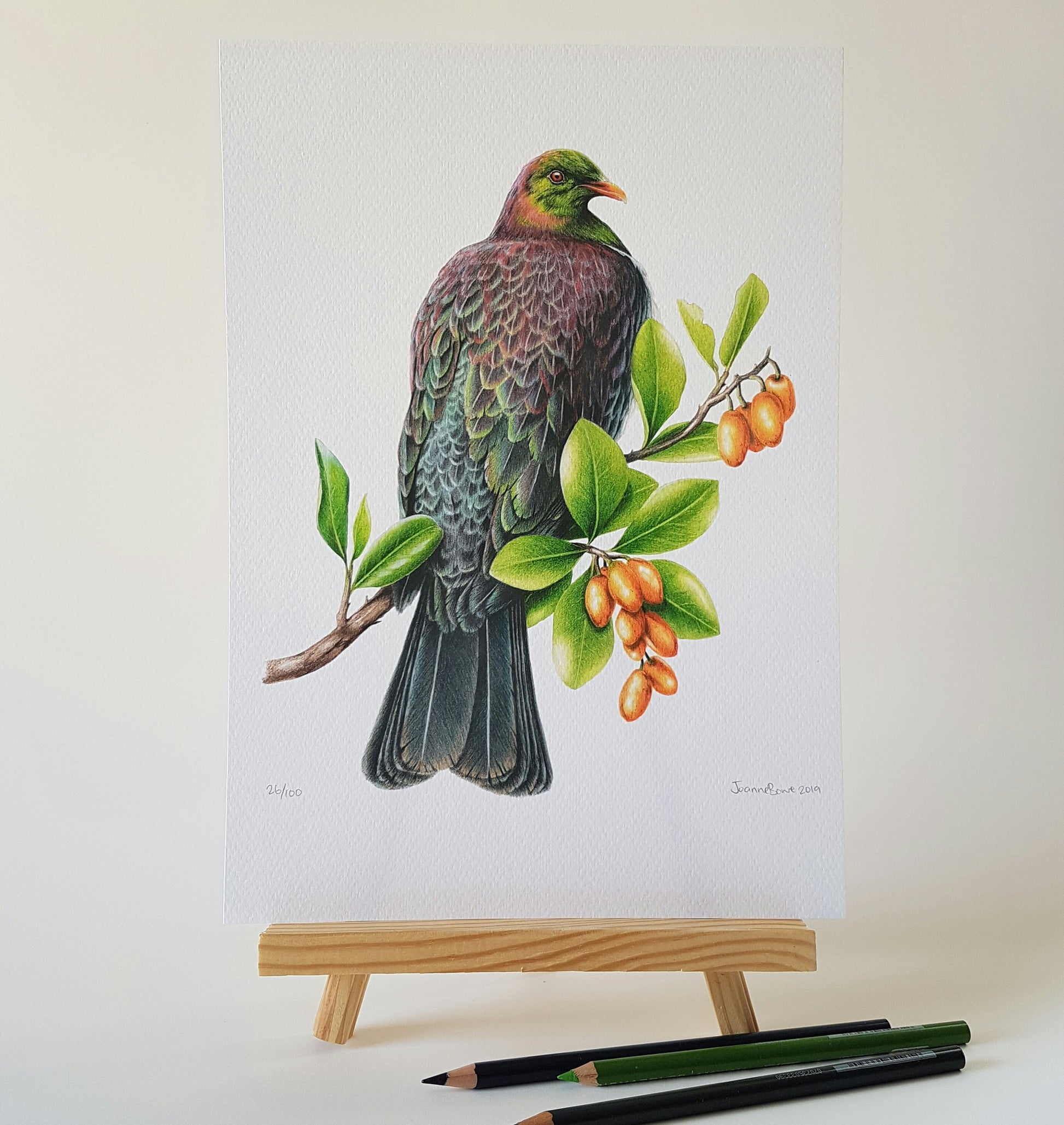 Kererū / Wood Pigeon - Joanne Bowe | New Zealand Artist