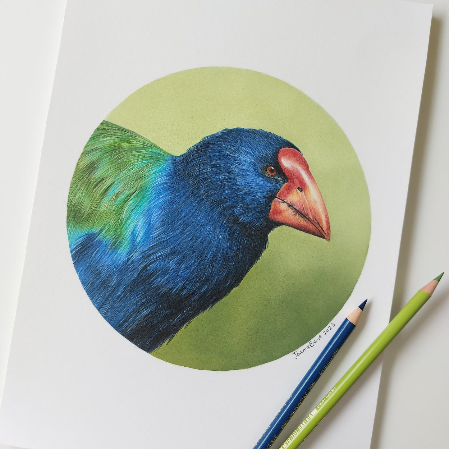Takahē ORIGINAL