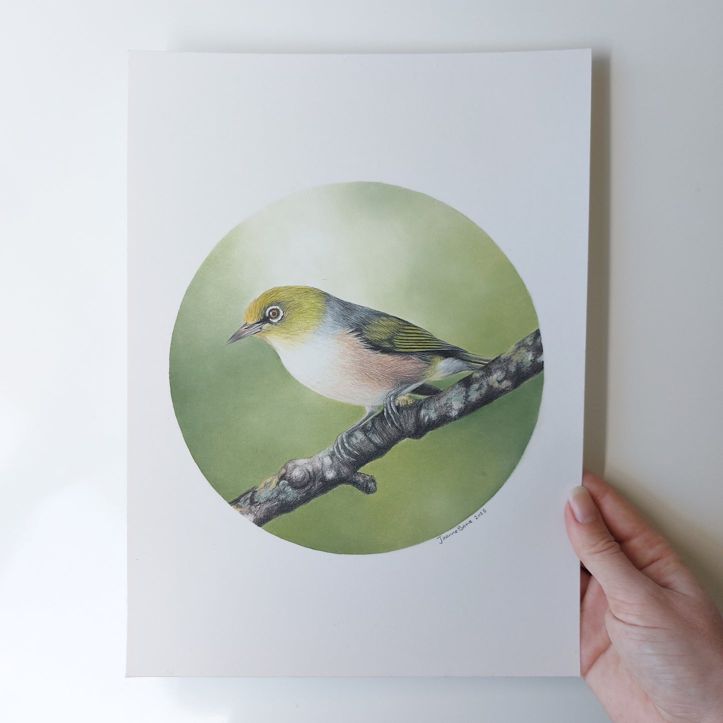 Waxeye ORIGINAL - Joanne Bowe | New Zealand Artist