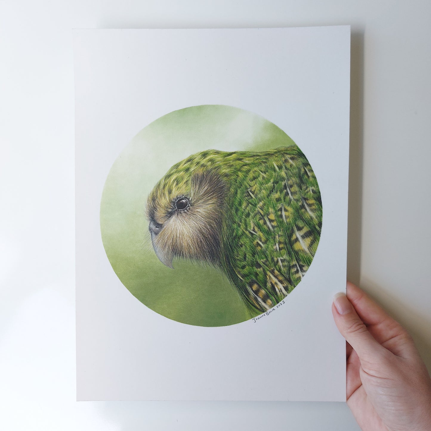 Kākāpō ORIGINAL - Joanne Bowe | New Zealand Artist