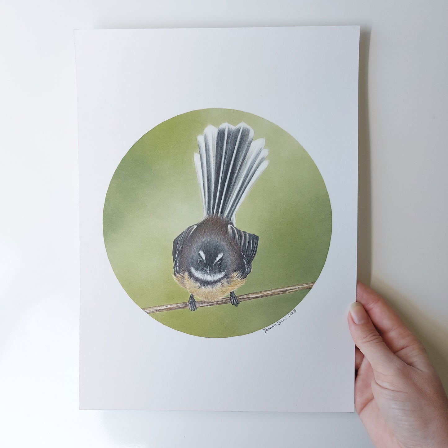 Fantail III ORIGINAL