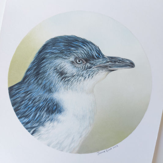 Little Blue Penguin ORIGINAL - Joanne Bowe | New Zealand Artist
