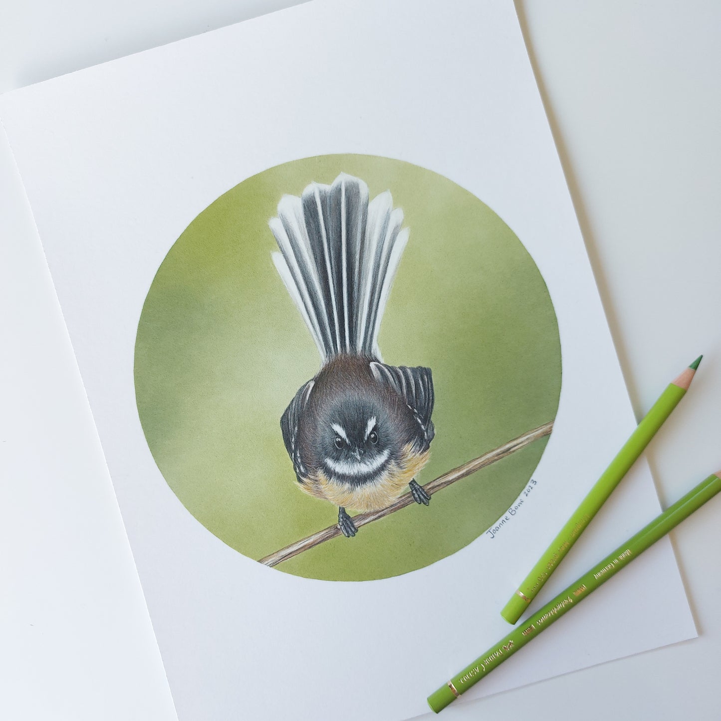Fantail III ORIGINAL