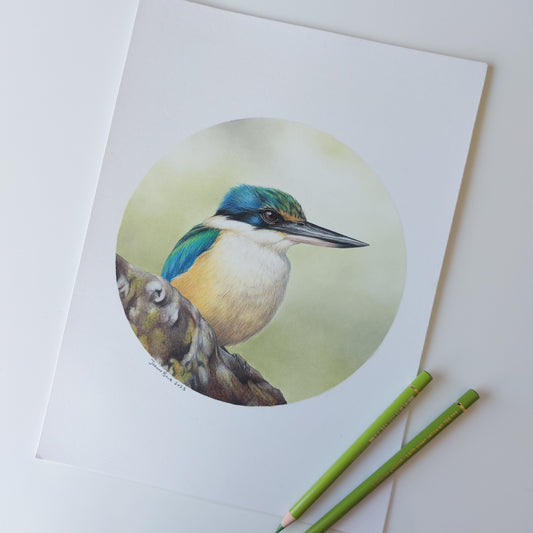 Kingfisher II ORIGINAL - Joanne Bowe | New Zealand Artist