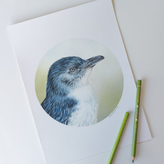 Little Blue Penguin ORIGINAL - Joanne Bowe | New Zealand Artist
