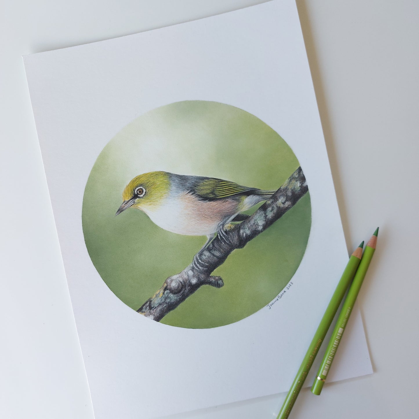 Waxeye ORIGINAL - Joanne Bowe | New Zealand Artist