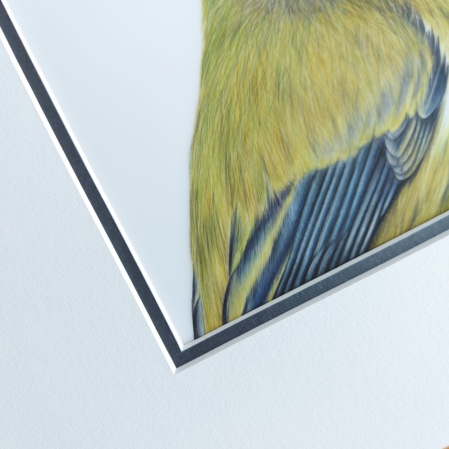 Brilliant Bellbird ORIGINAL - Joanne Bowe | New Zealand Artist