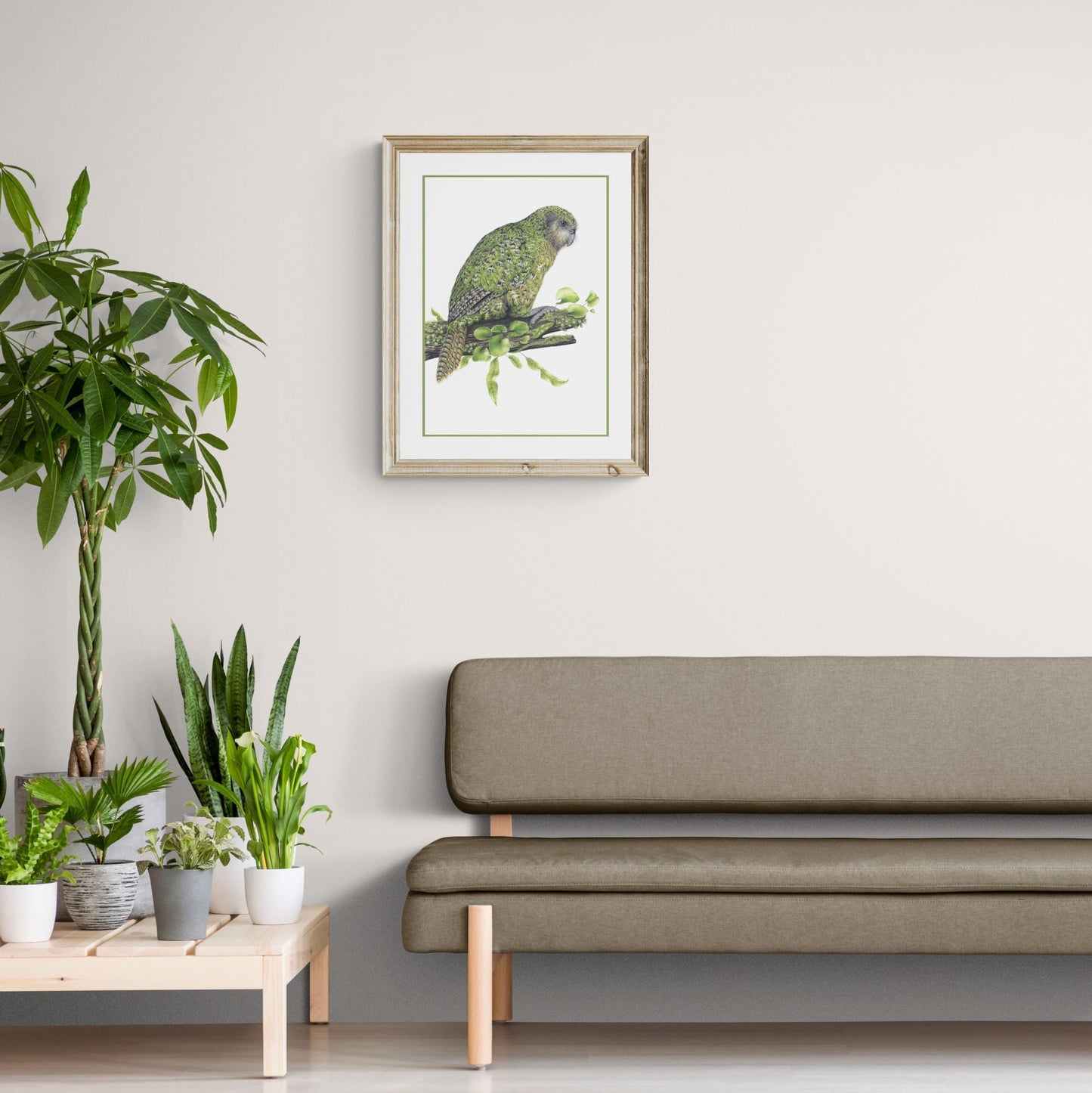 Kākāpō - Joanne Bowe | New Zealand Artist