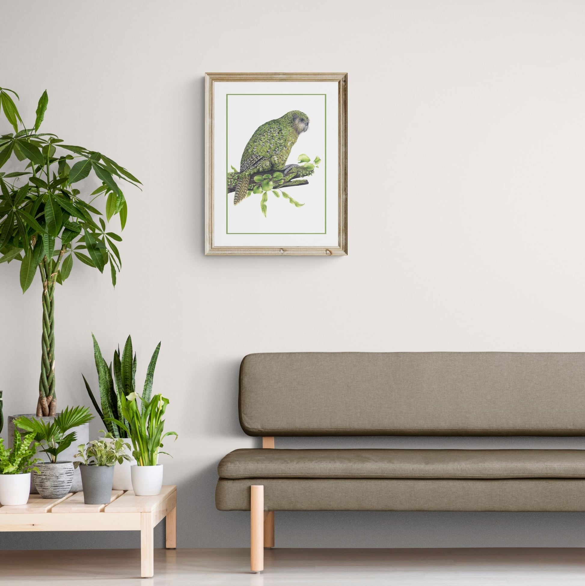 Kākāpō - Joanne Bowe | New Zealand Artist