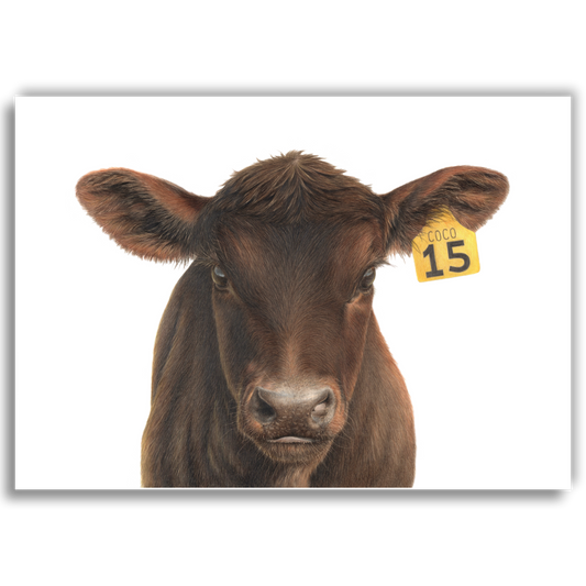 No. 15 'Coco' - Limited Edition Art Print