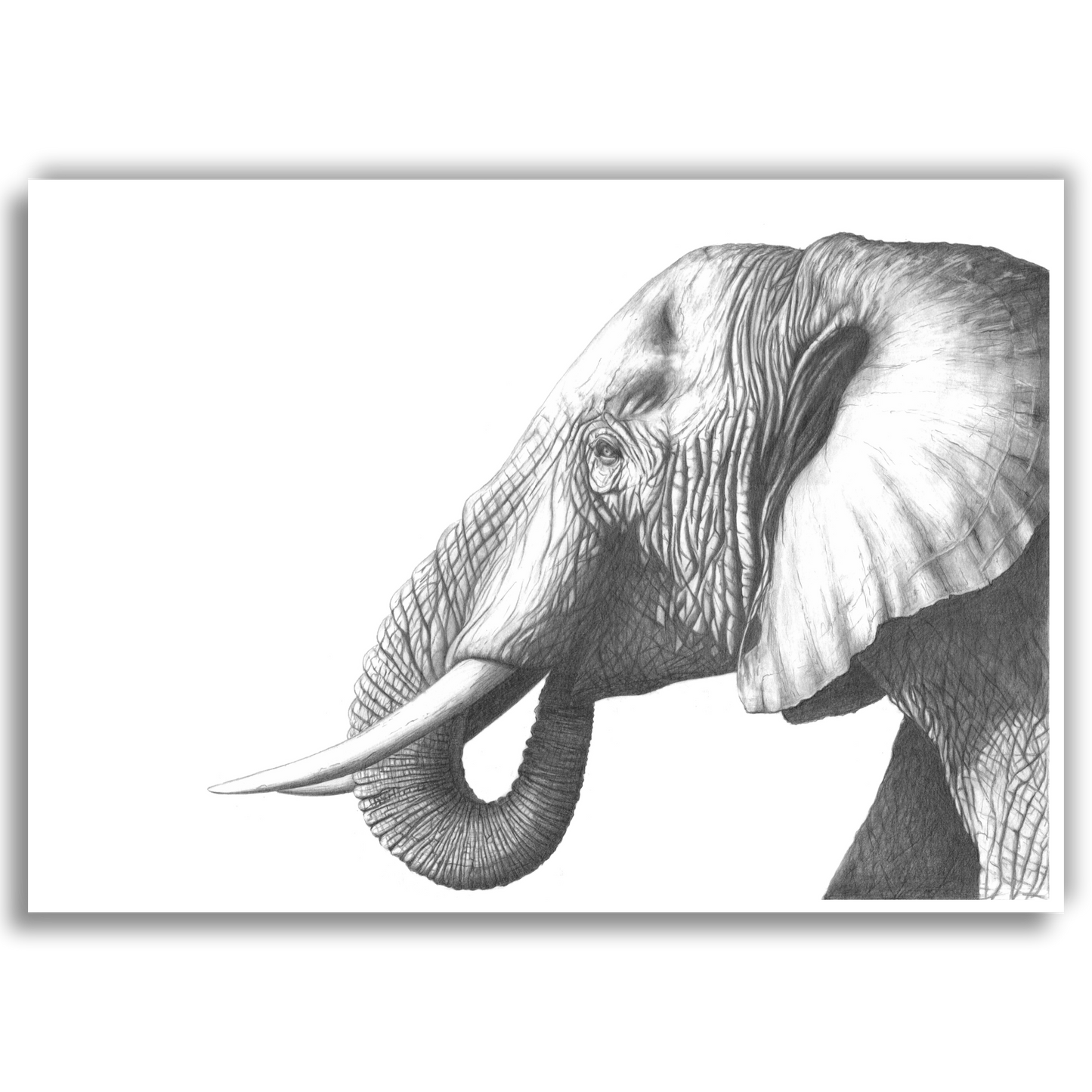 Elephant A5 Art Print