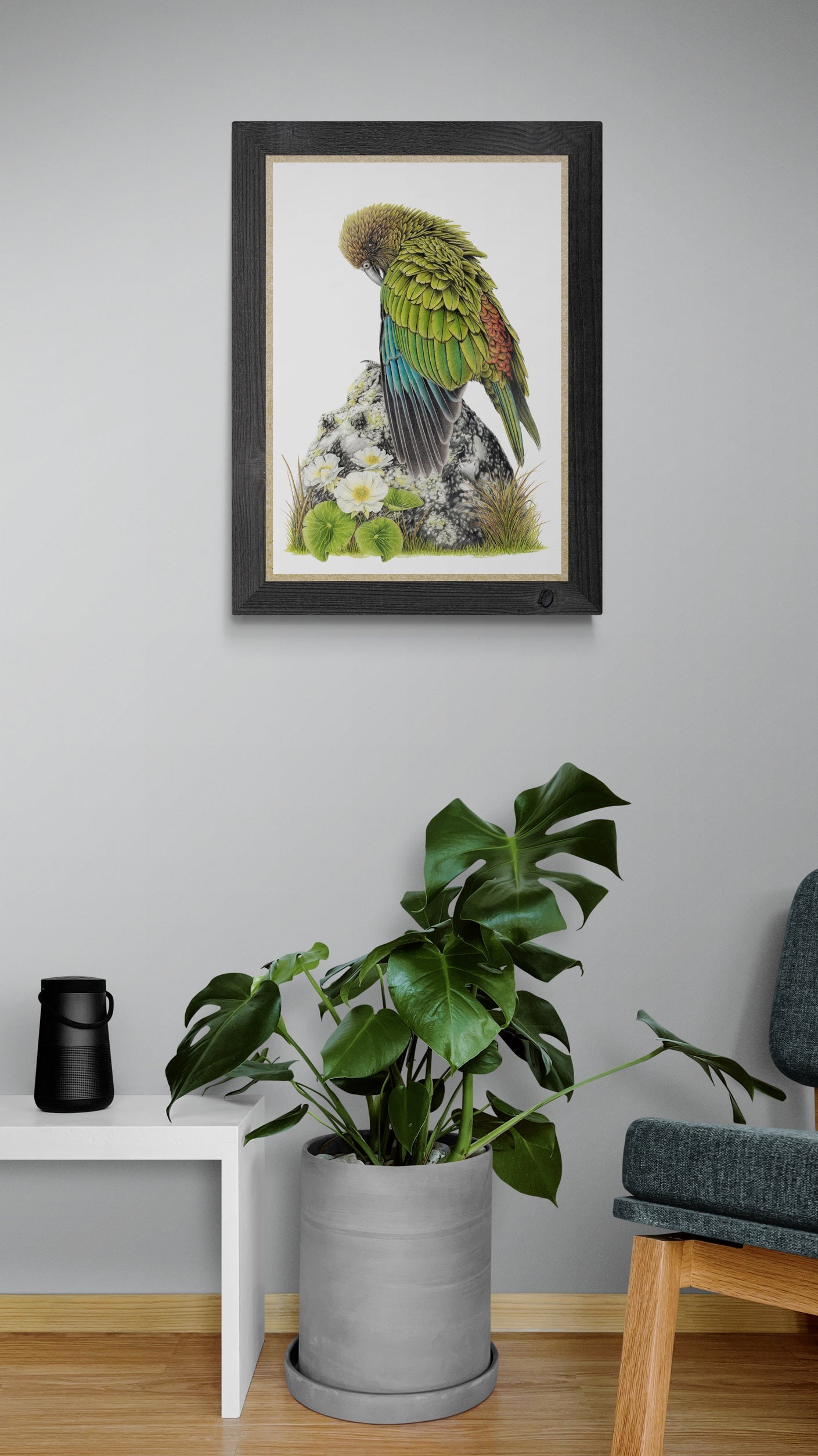 Cheeky Kea - Joanne Bowe | New Zealand Artist