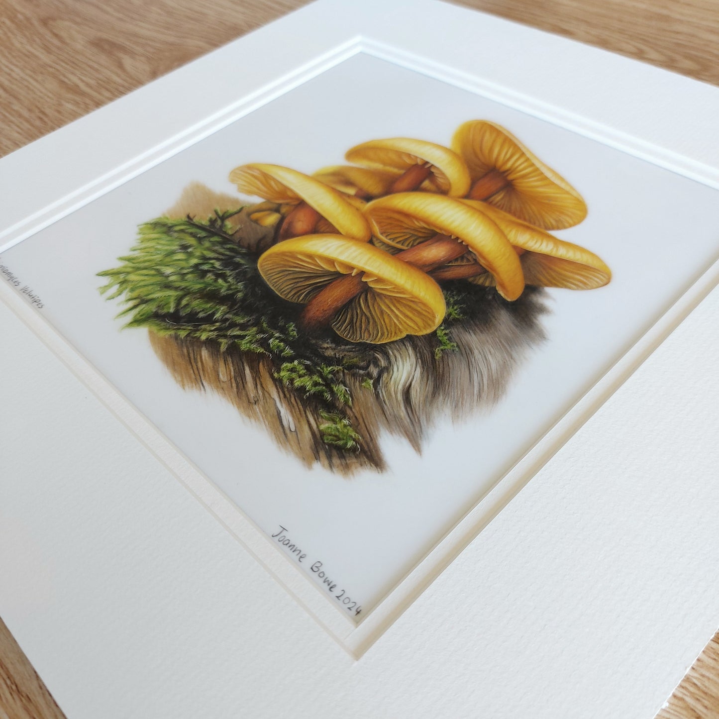 Heimiomyces Velutipes mushroom original drawing