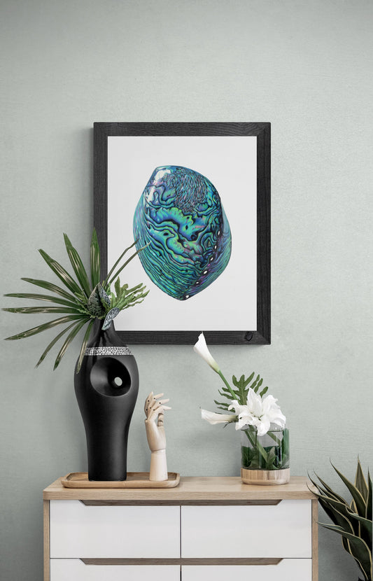 Pāua — Limited Edition Art Print