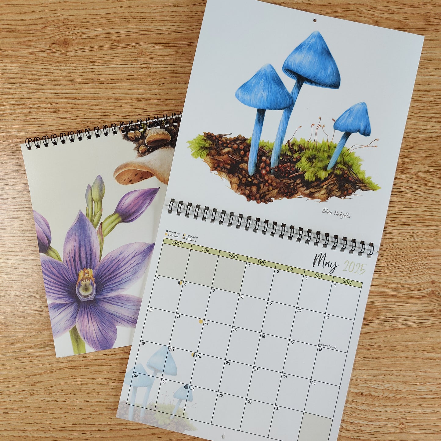 2025 calendar flora and fungi by joanne bowe nz artist