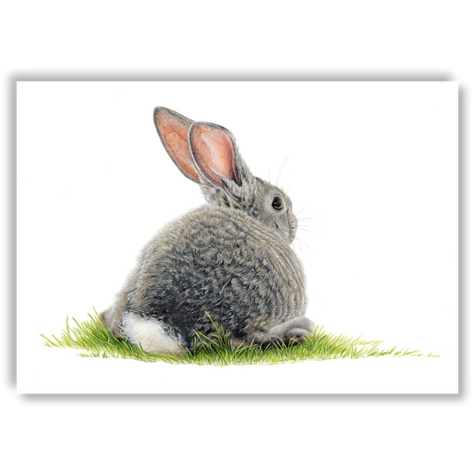 Bunny Rabbit - Joanne Bowe | New Zealand Artist