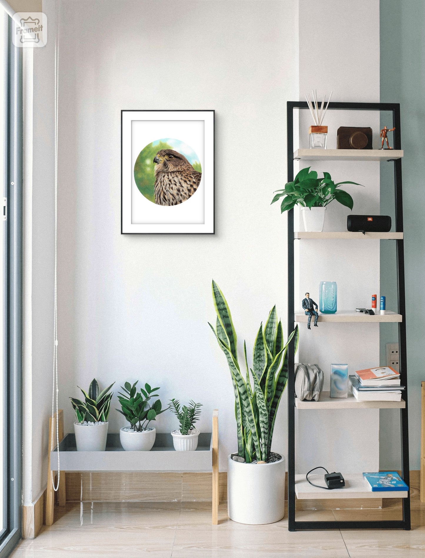 Falcon (kārearea) open edition art print styled in a calm home interior setting, showing scale and presentation.