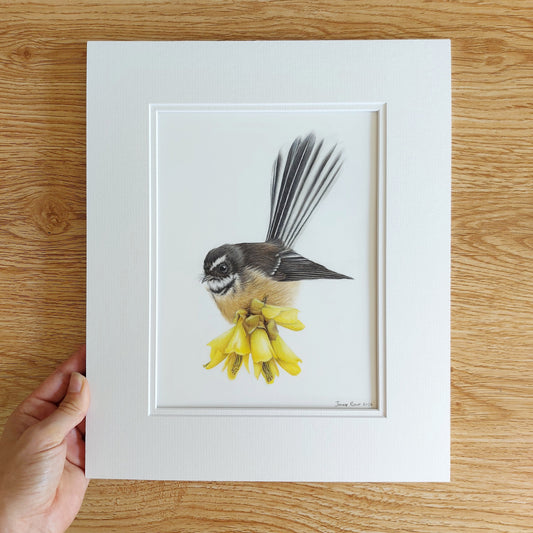 Original coloured pencil artwork of a New Zealand fantail (pīwakawaka) on kōwhai flowers, mounted and ready for framing