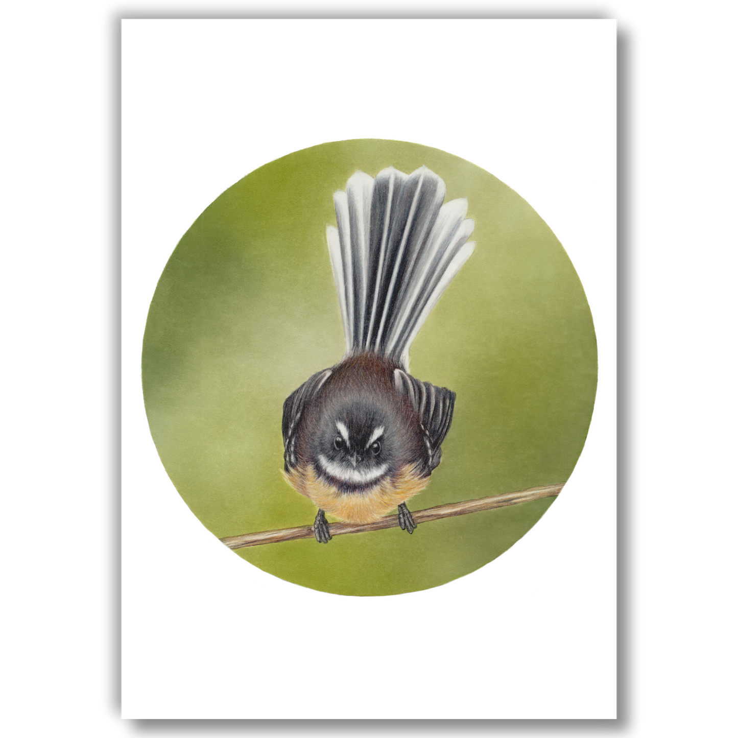 Fantail III (Circle Series)