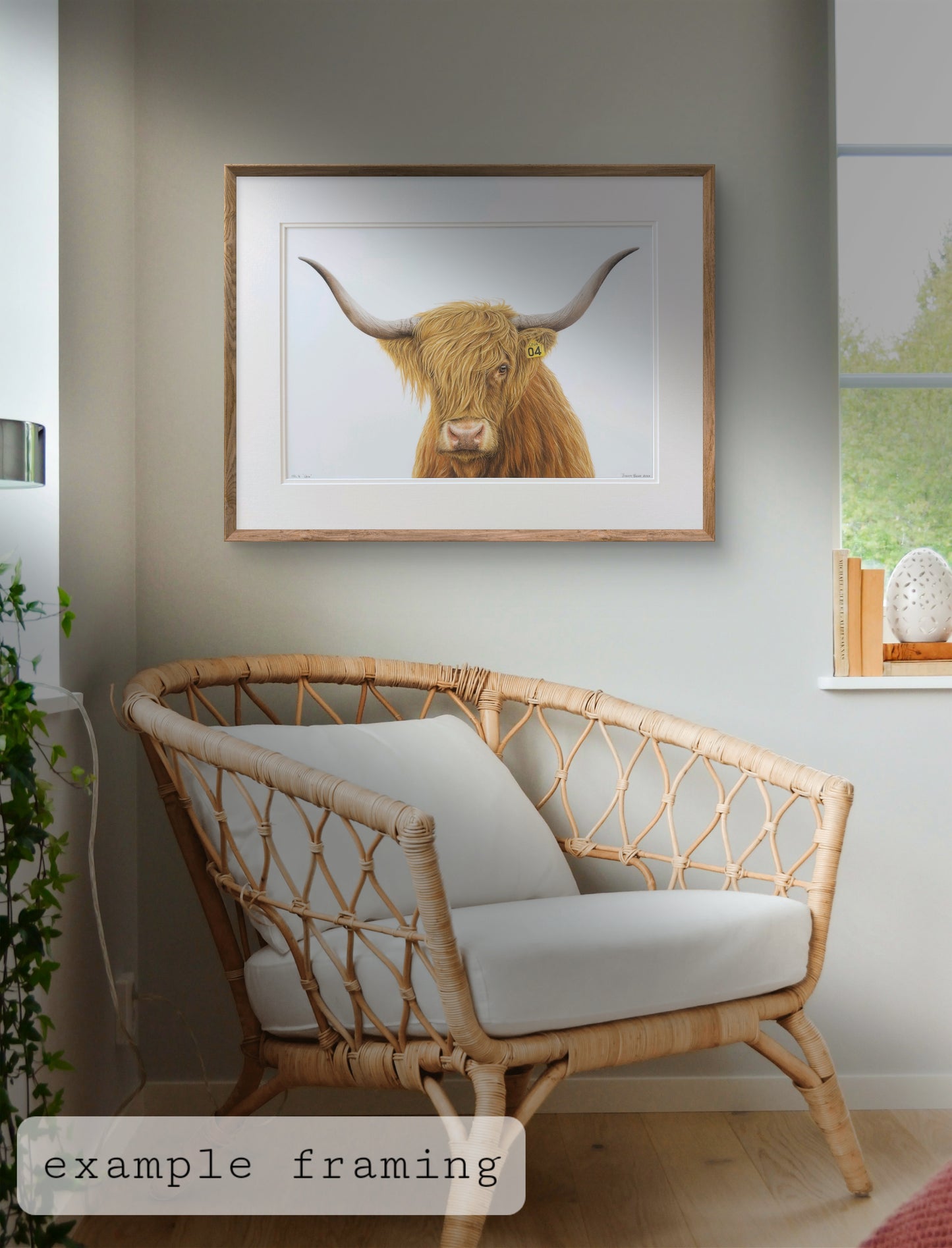 highland cow art, colour pencil drawing artwork by joanne bowe