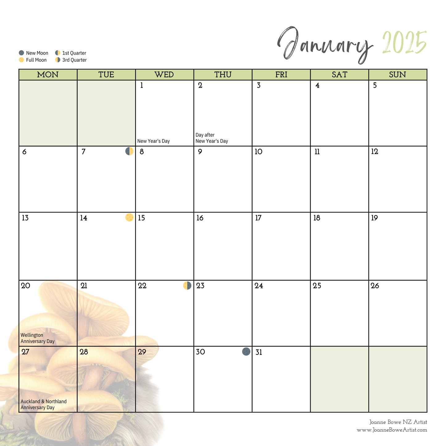 2025 art calendar fungi and flora by joanne bowe nz artist