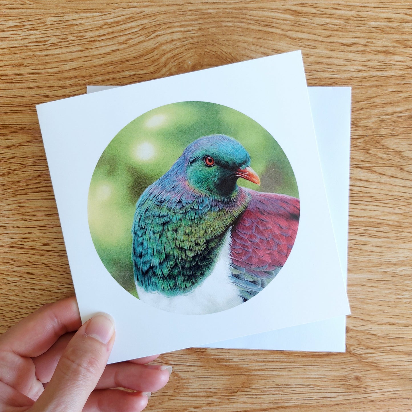 Greeting card featuring a coloured pencil illustration of a New Zealand kereru wood pigeon