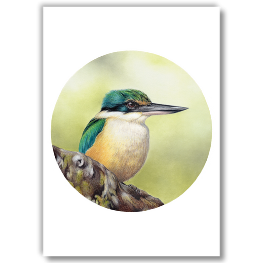 Kingfisher II (Circle Series) - Joanne Bowe | New Zealand Artist