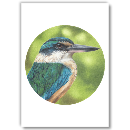 Kingfisher (Circle Series) - Joanne Bowe | New Zealand Artist