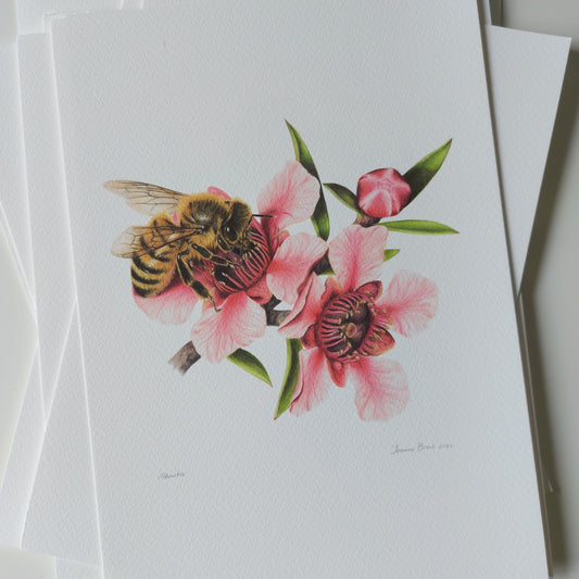 Detail of coloured pencil artwork showing a honey bee on a pink mānuka flower in the open edition art print.