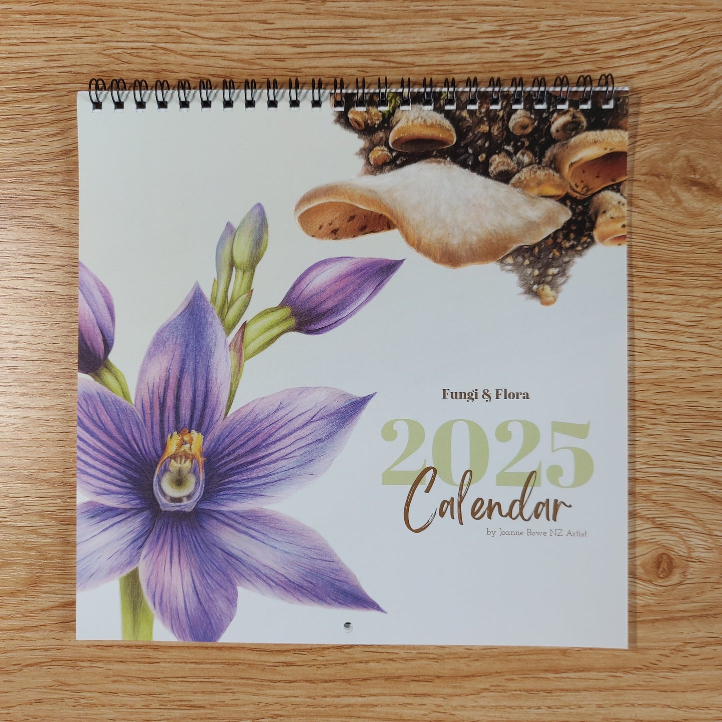 2025 art calendar flora and fungi by joanne bowe nz artist