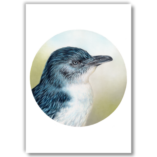 Little Blue Penguin (Circle Series) - Joanne Bowe | New Zealand Artist