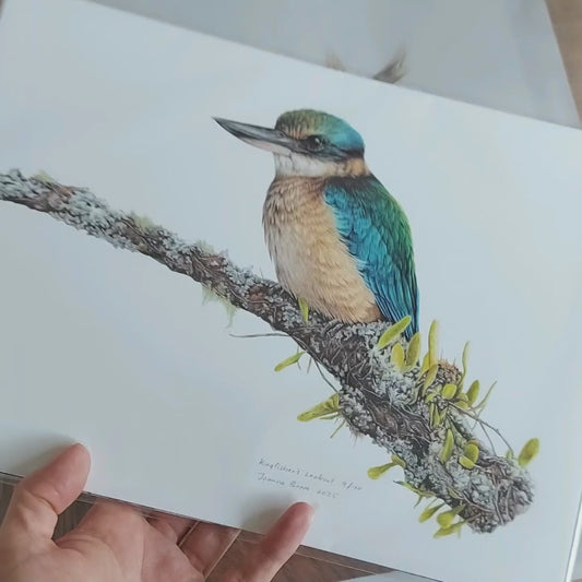 Kingfisher's Lookout - Limited Edition Art Print
