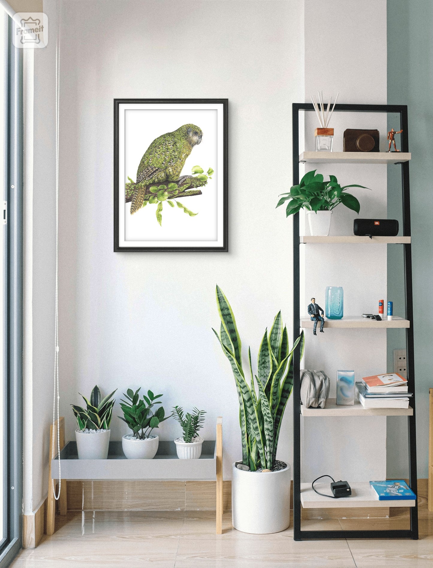 Kakapo -Limited Edition Art Print