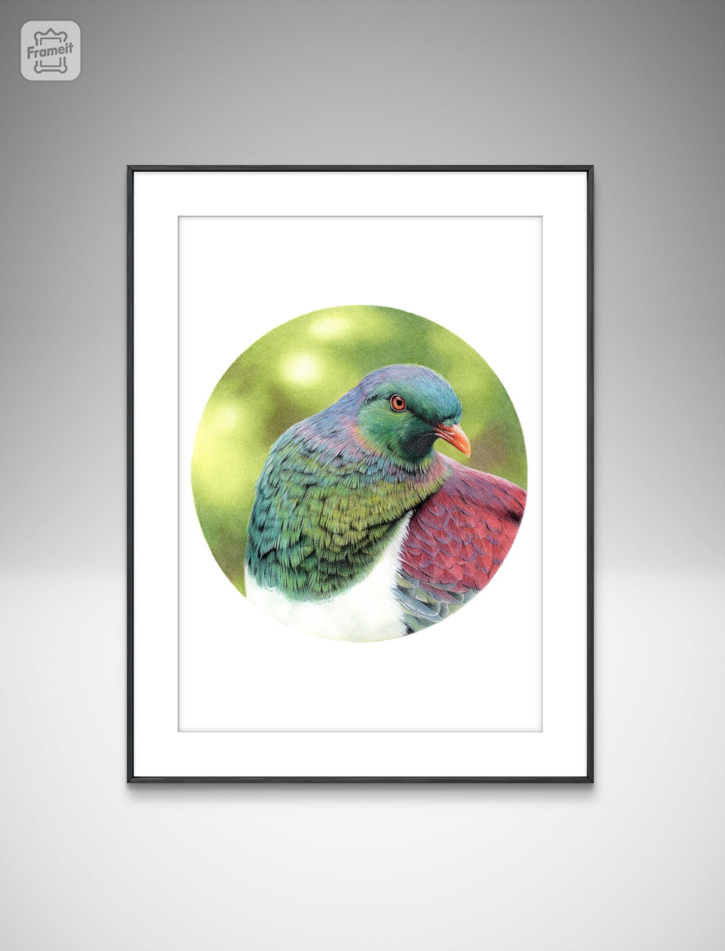 Kereru (Circle Series) -Art Print