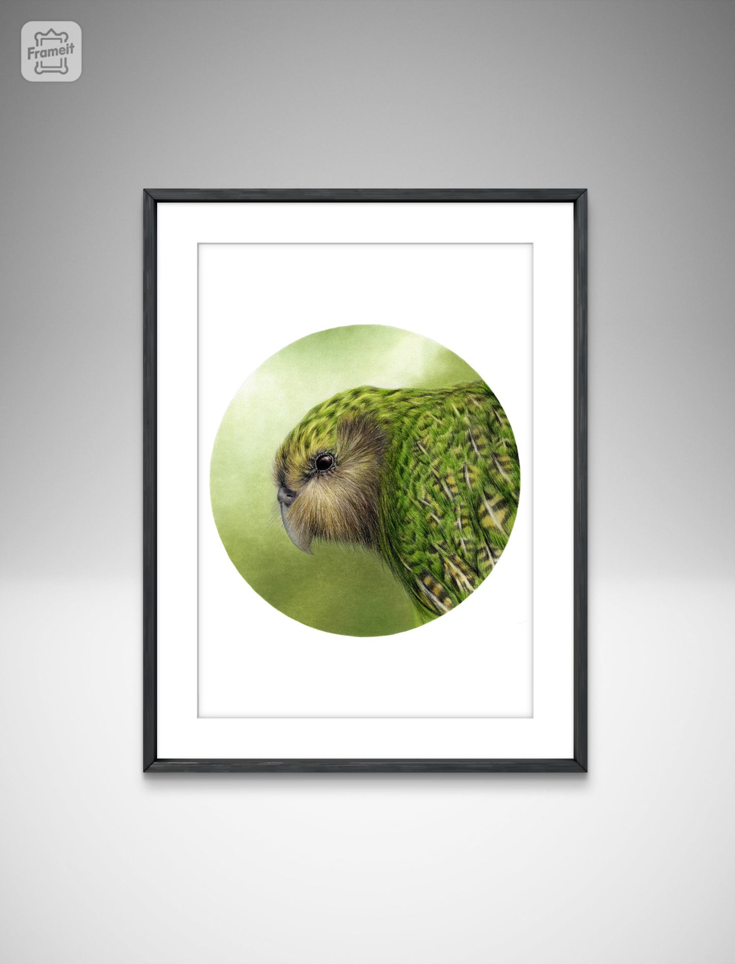 Kākāpō (Circle Series) -Art Print
