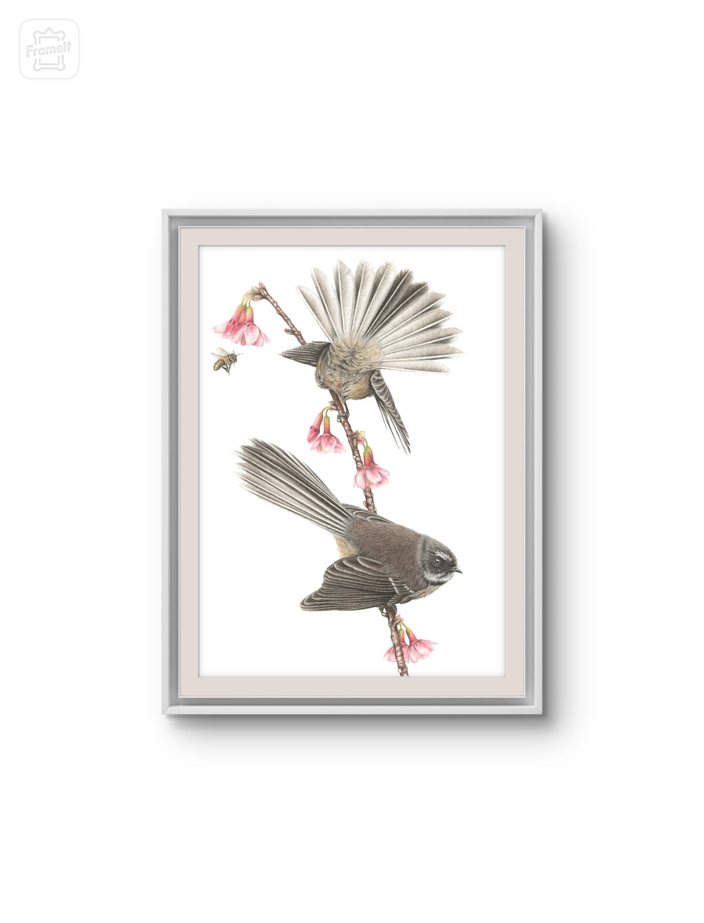 Spring Fantails -Limited Edition Art Print