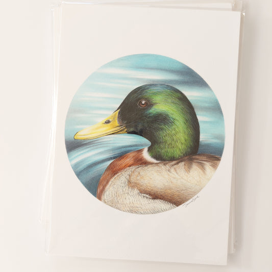 Mallard Duck A4 Art Print