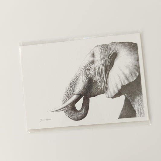 Elephant A5 Art Print