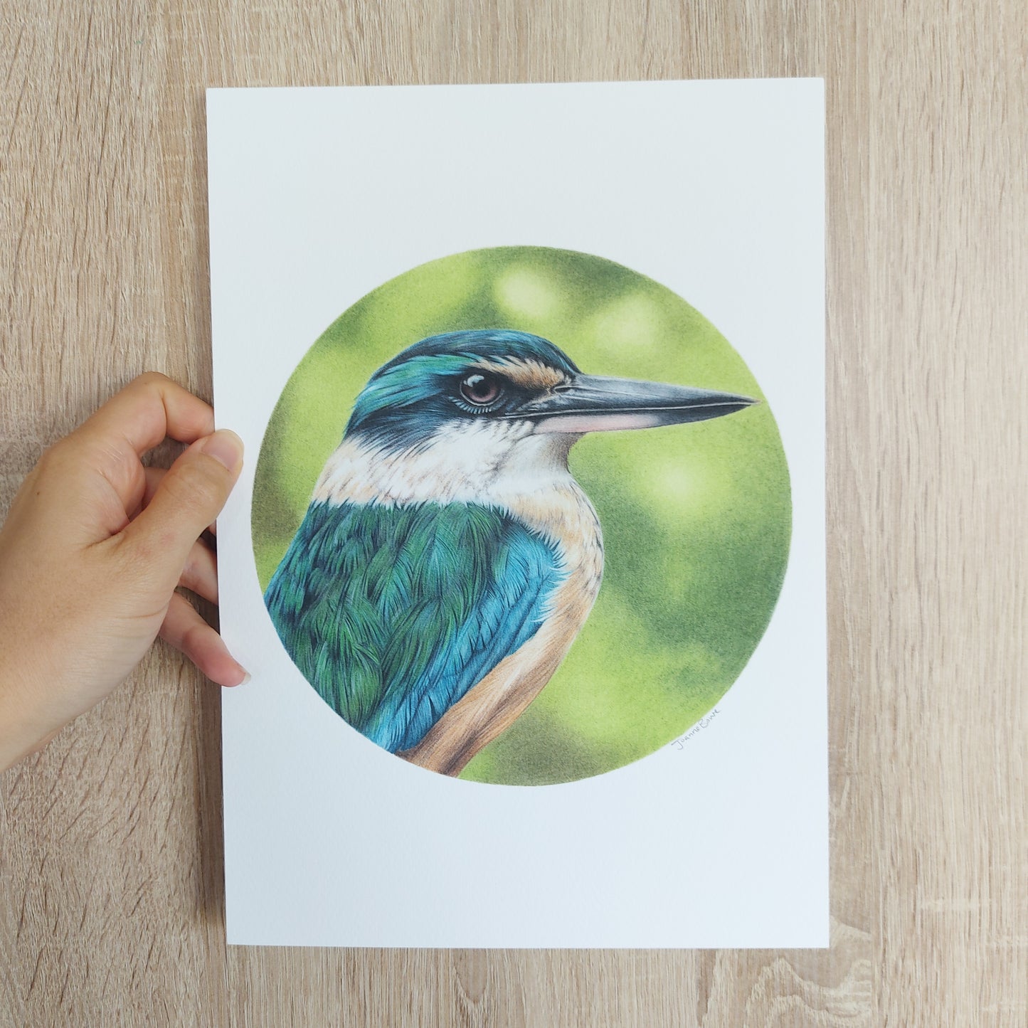 Kingfisher (Circle Series) -Art Print
