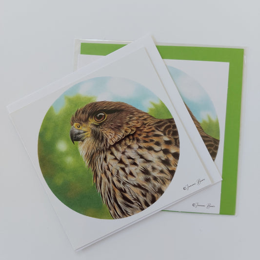 Falcon - Blank Greeting Card