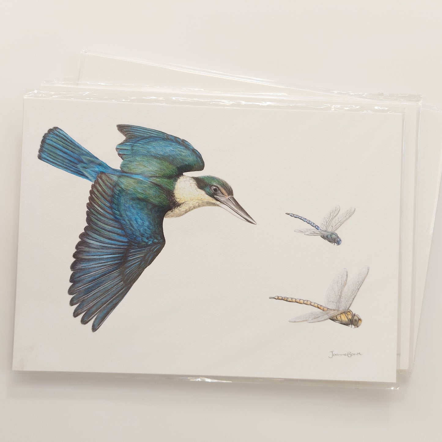Kingfisher A4 Art Print