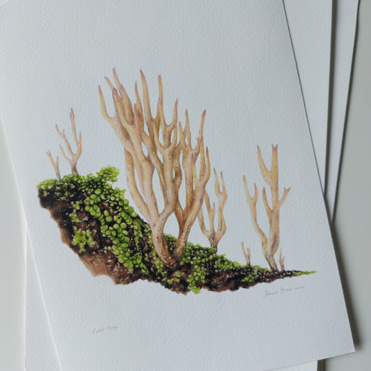 Coral Fungi - Art Print