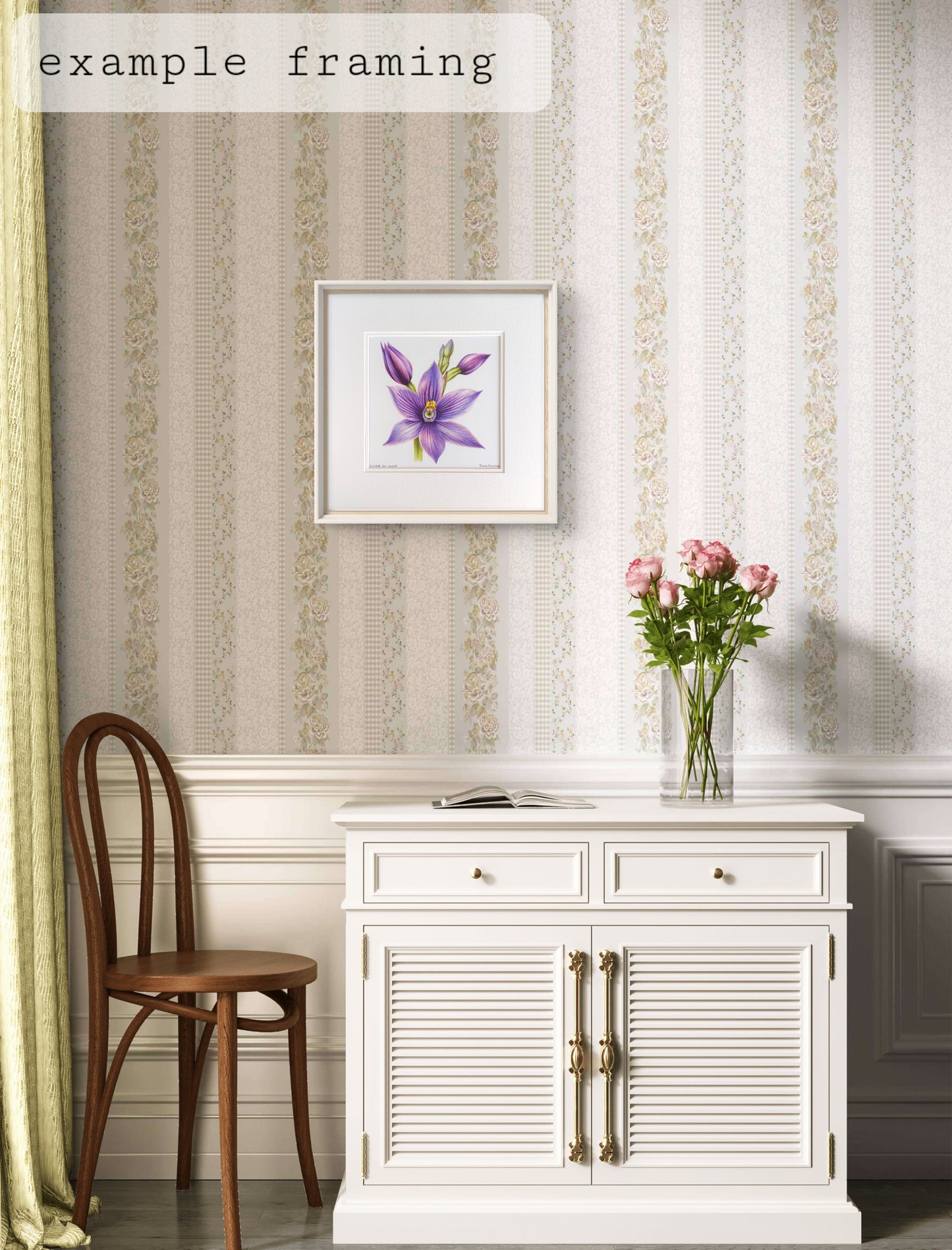 Striped Sun Orchid - Original Pencil Artwork