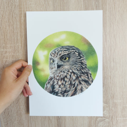Morepork (Circle Series) -Art Print