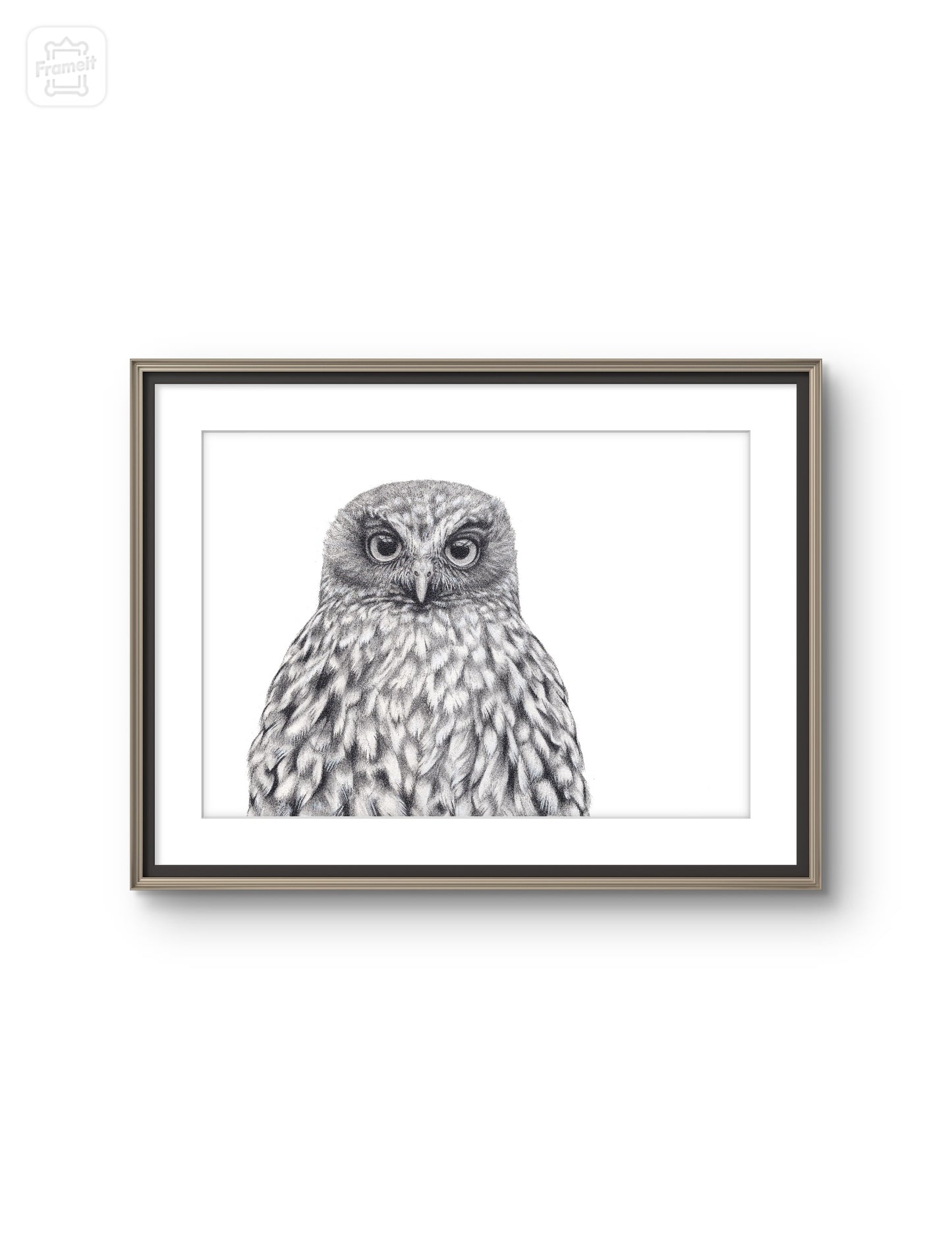 Morepork Owl -Limited Edition Art Print