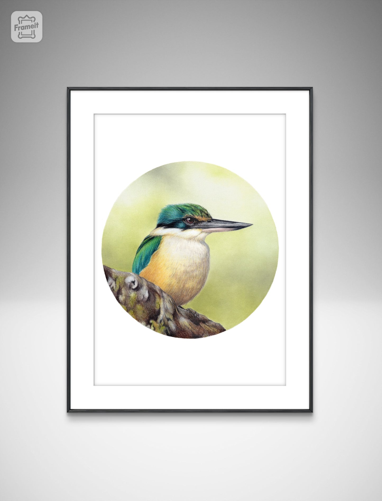 Kingfisher II (Circle Series) -Art Print
