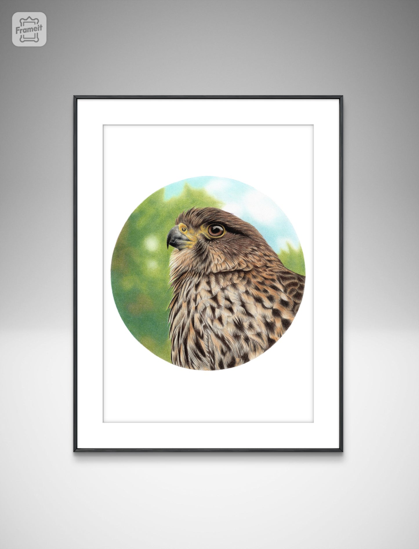 Falcon (Circle Series) -Art Print