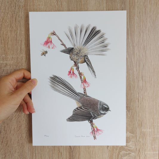 Fine art paper texture and artist signature on Spring Fantails limited edition print