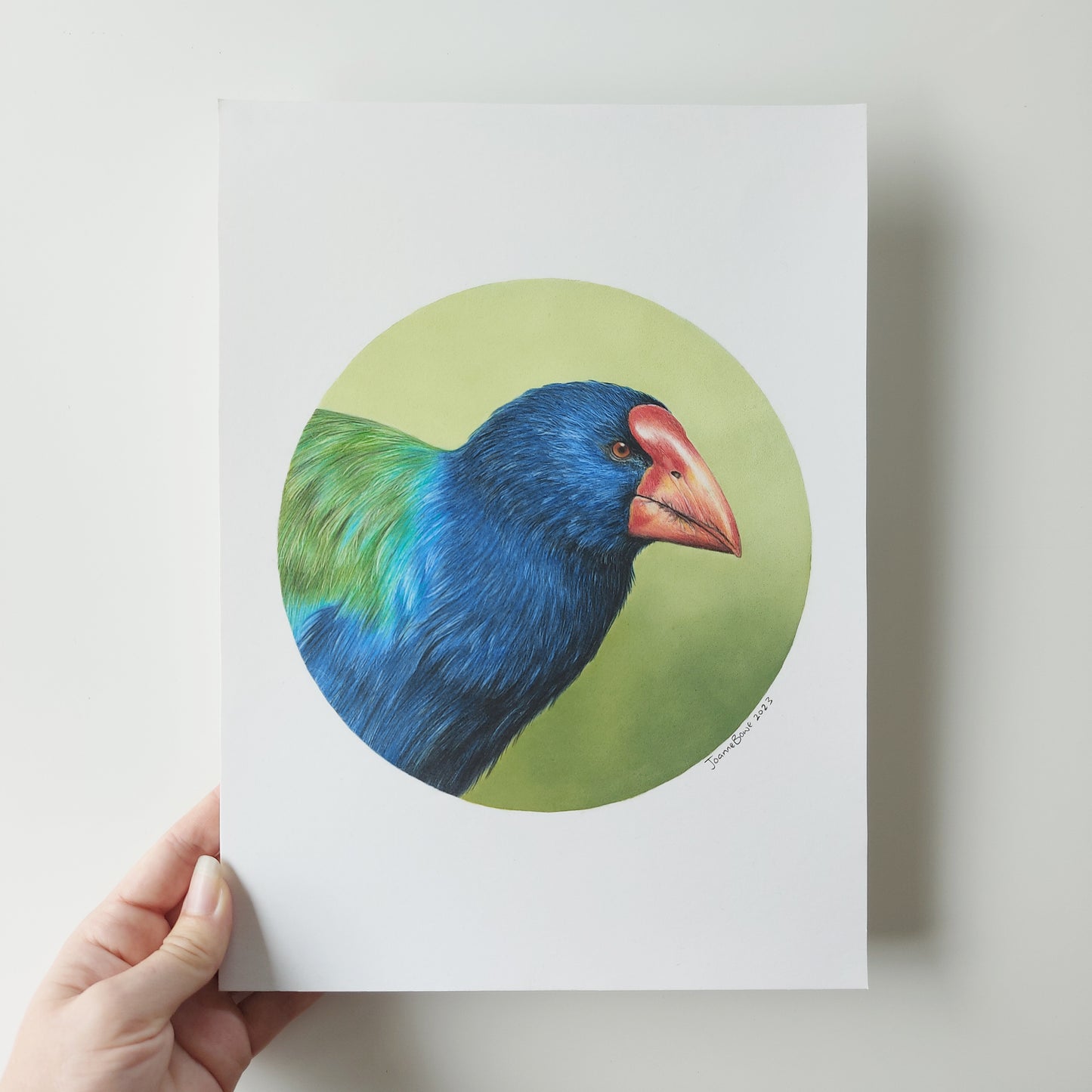 Takahē ORIGINAL