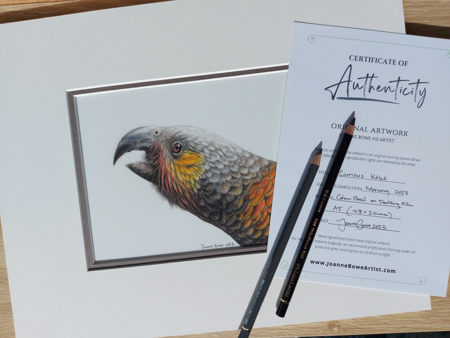 Curious Kākā ORIGINAL - Joanne Bowe | New Zealand Artist